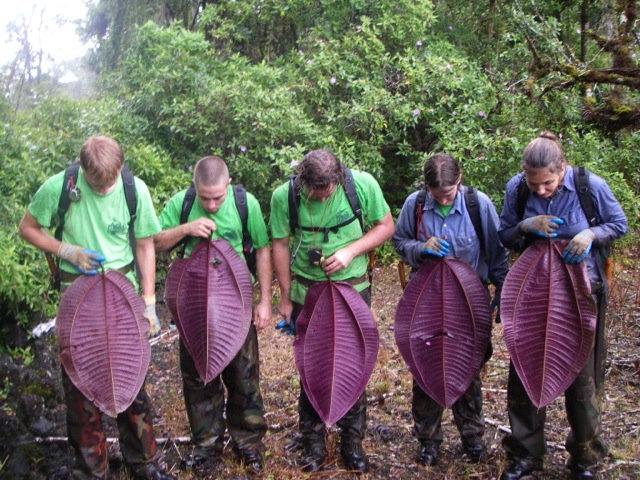 Photos - Oahu Invasive Species Committee (OISC)