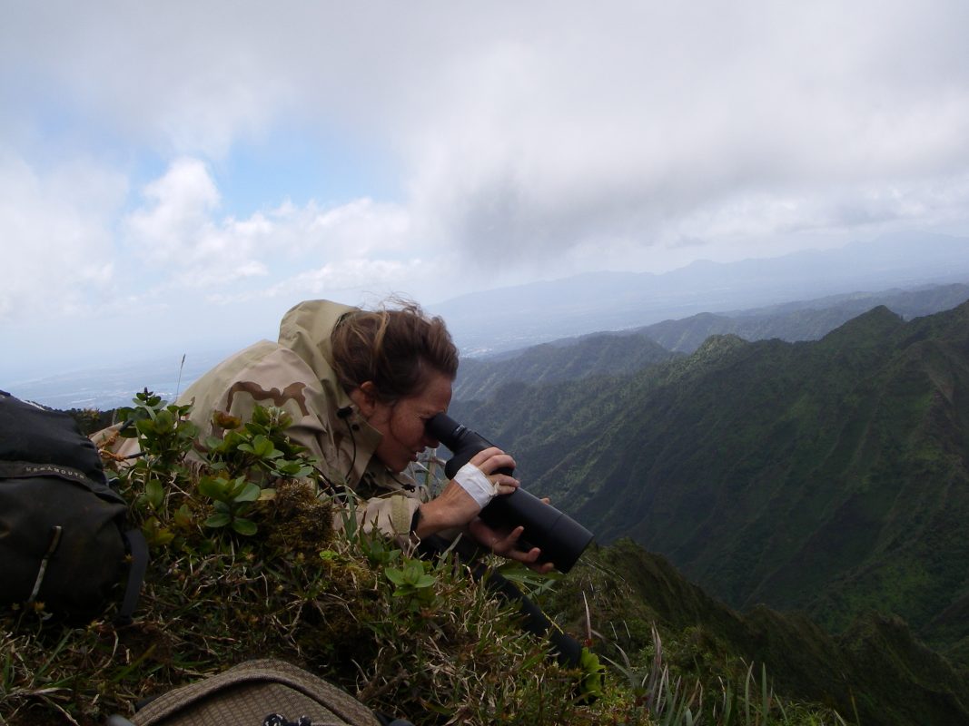 KM Using The Spotting Scope — Oahu Invasive Species Committee (OISC)