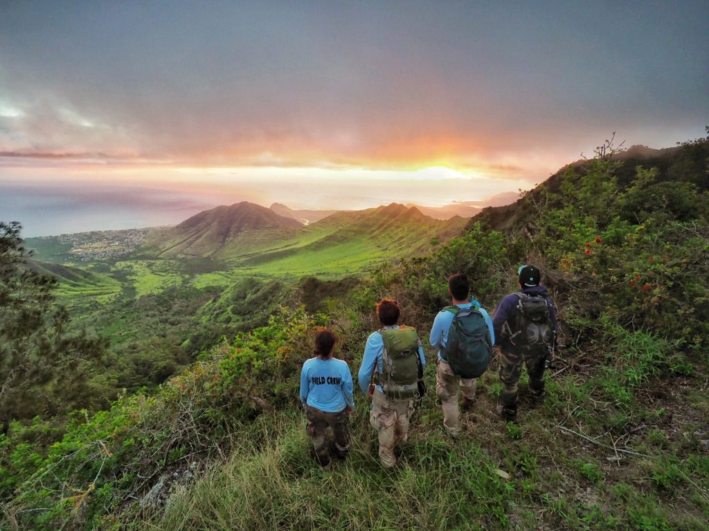 Photos - Oahu Invasive Species Committee (OISC)